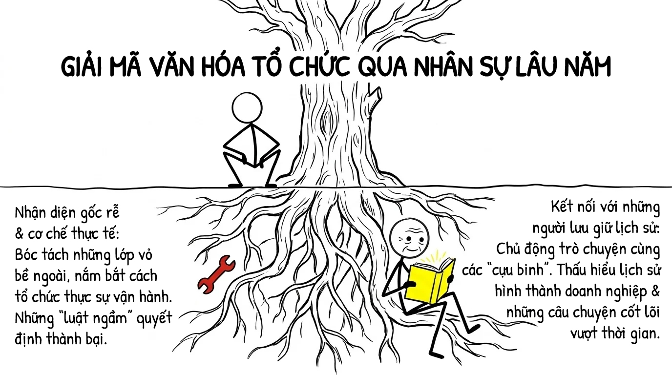 giải mã văn hóa tổ chức qua nhân sự lâu năm