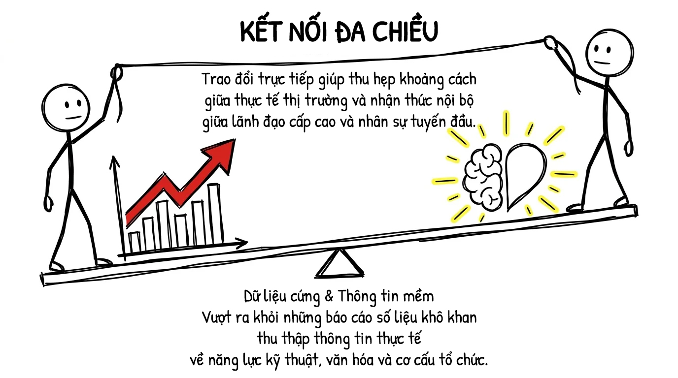 kết nối đa chiều