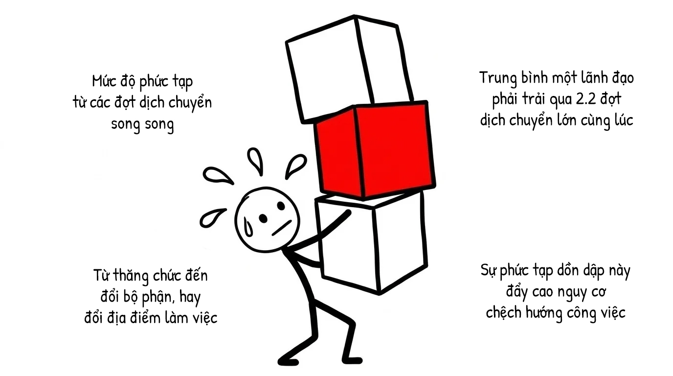 mức độ phức tạp từ các đợt dịch chuyển