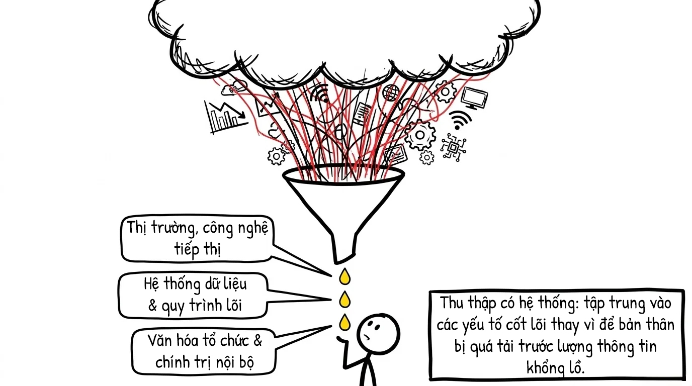 thu thập có hệ thống