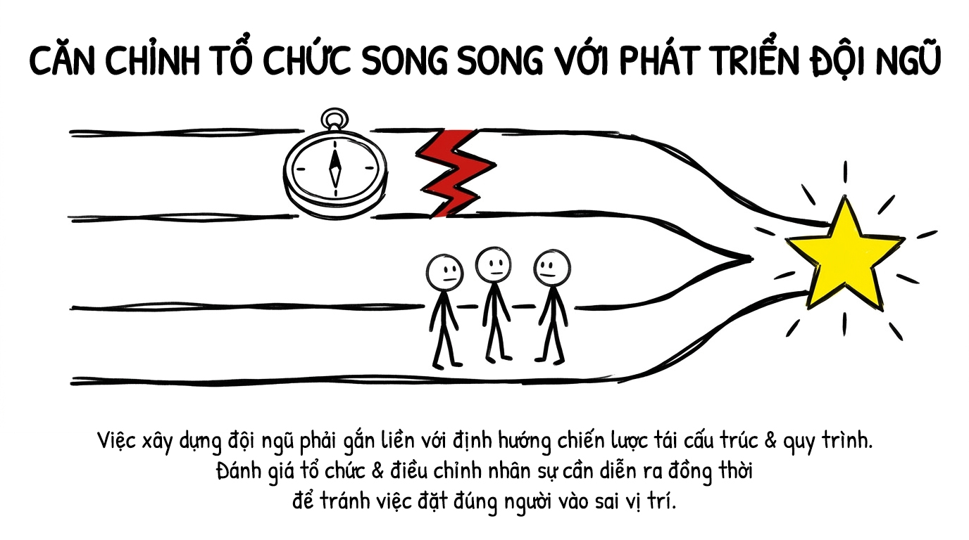 căn chỉnh tổ chức song song với phát triển đội ngũ