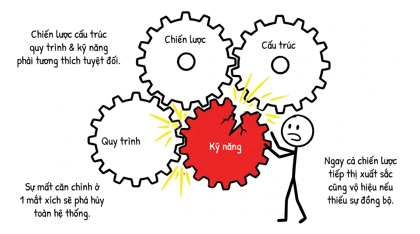 chiến lược cấu trúc