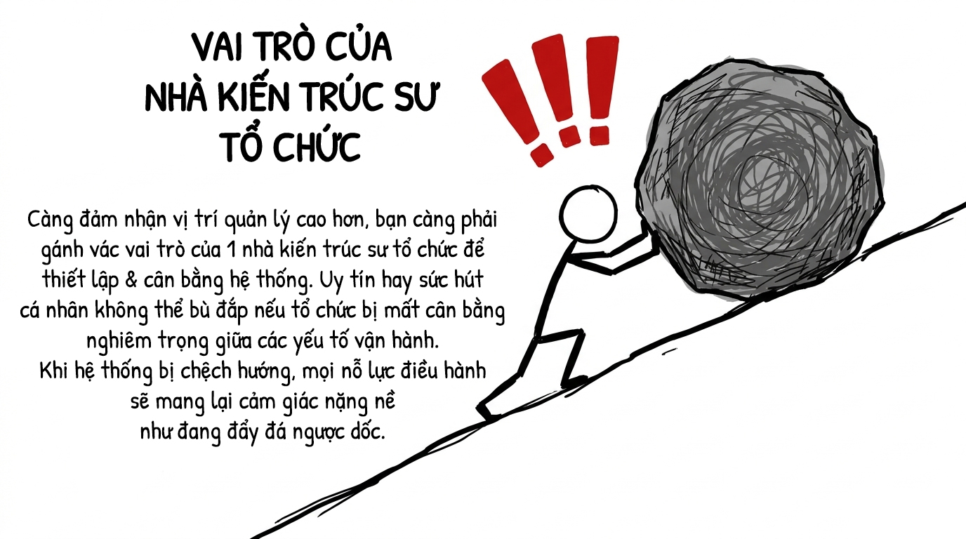 vai trò của nhà kiến trúc sư tổ chức